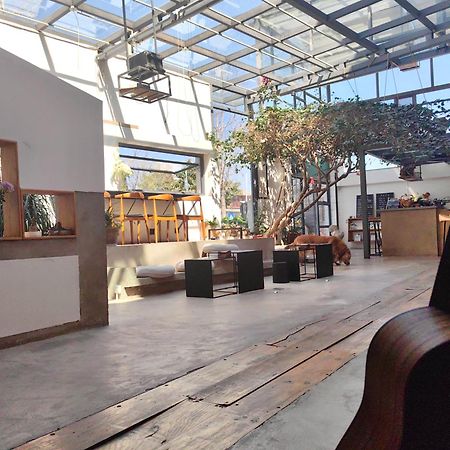 Dali Loft Travelling With Hostel Exterior foto